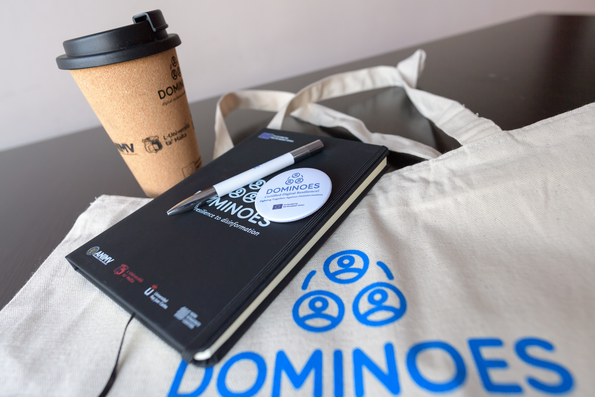 2024_feb_Dominoes_IAN1390