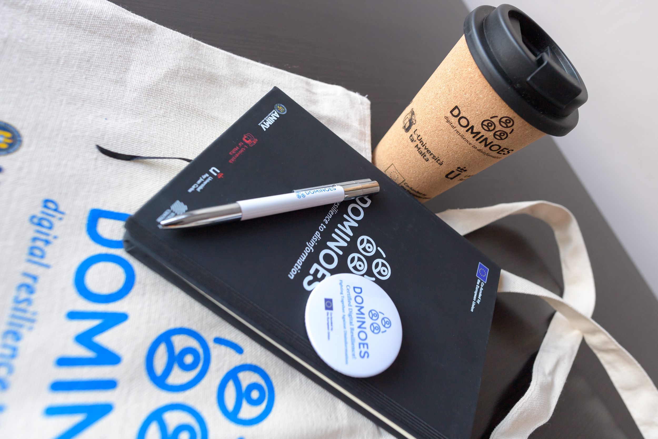 2024_feb_Dominoes_IAN1393